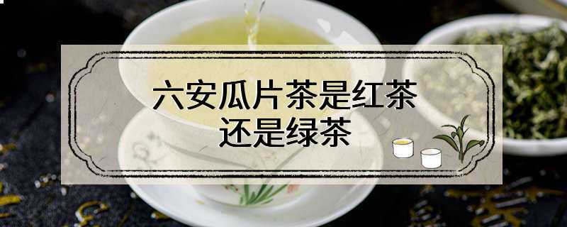 六安瓜片茶是红茶还是绿茶