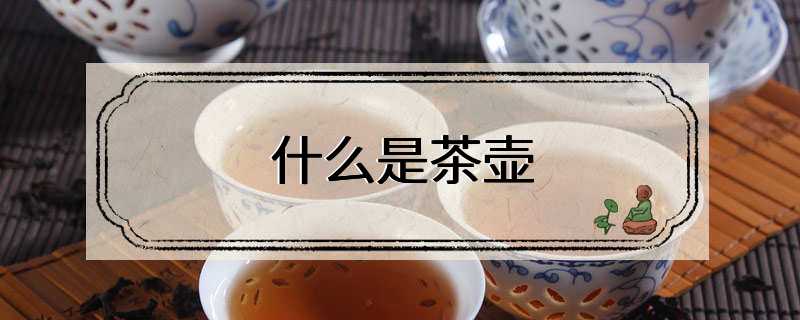 什么是茶壶