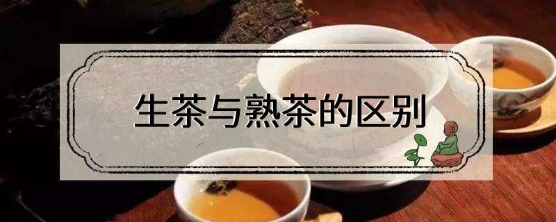 生茶与熟茶的区别