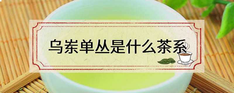 乌岽单丛是什么茶系