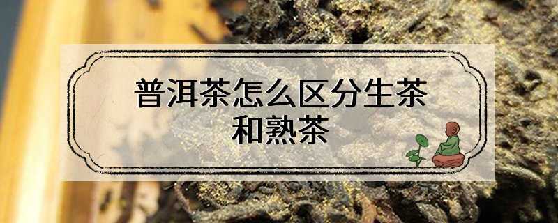 普洱茶怎么区分生茶和熟茶