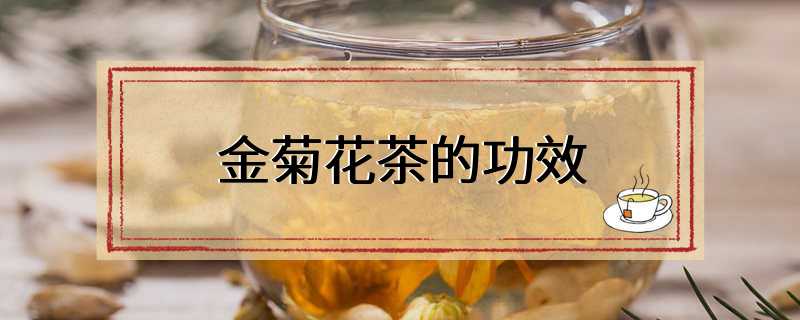 金菊花茶的功效