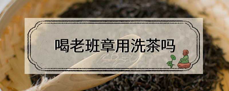 喝老班章用洗茶吗