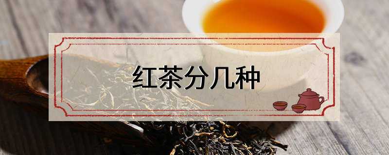 红茶分几种