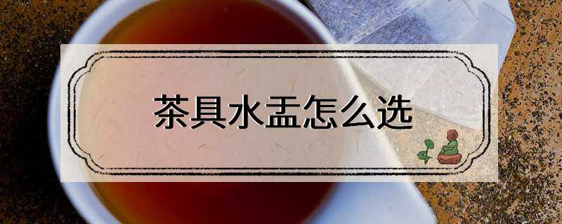 茶具水盂怎么选