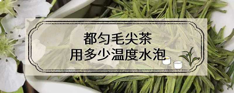 都匀毛尖茶用多少温度水泡