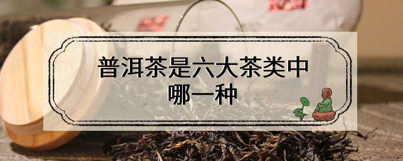 普洱茶是六大茶类中哪一种