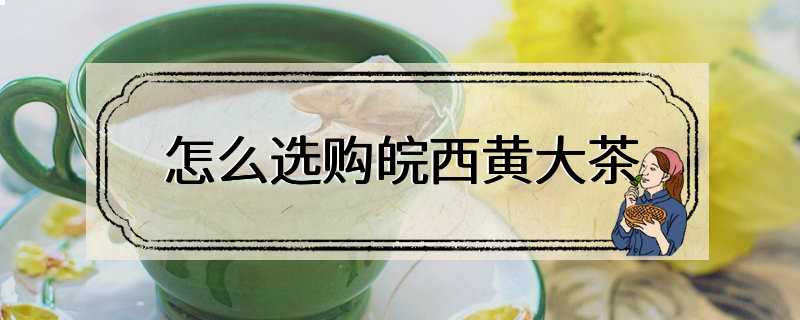 怎么选购皖西黄大茶