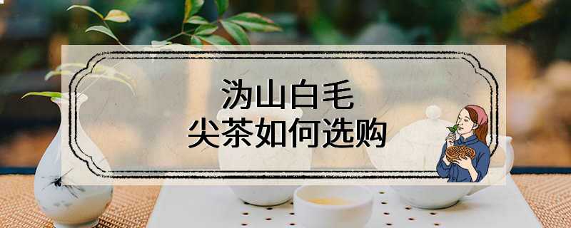 沩山白毛尖茶如何选购