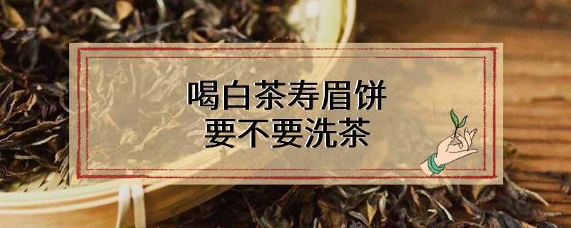 喝白茶寿眉饼要不要洗茶