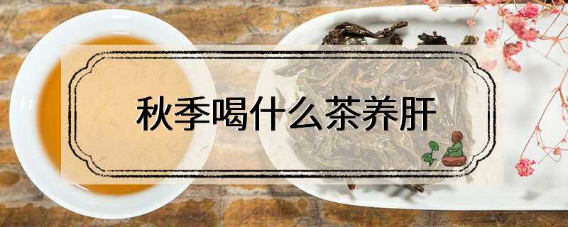 秋季喝什么茶养肝