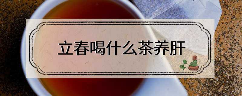 立春喝什么茶养肝