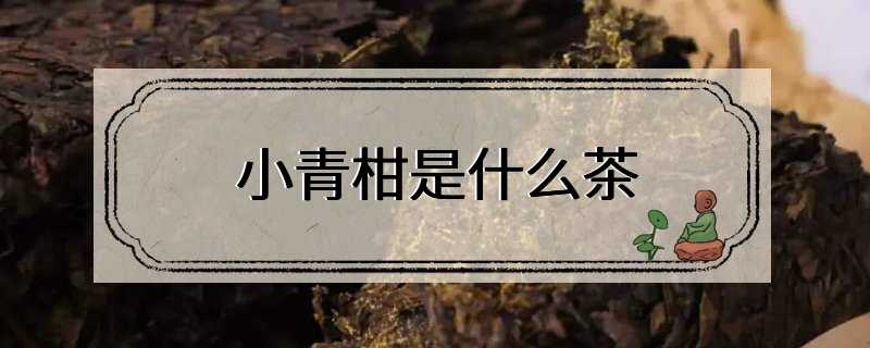 小青柑是什么茶