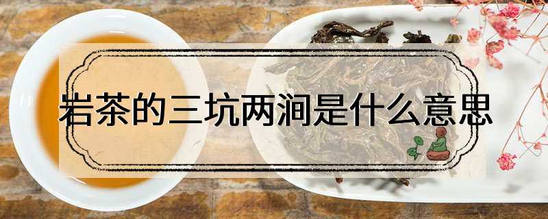 岩茶的三坑两涧是什么意思