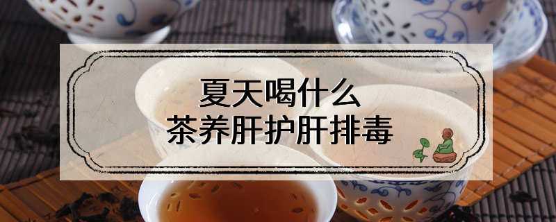 夏天喝什么茶养肝护肝排毒