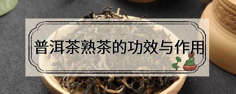 普洱茶熟茶的功效与作用