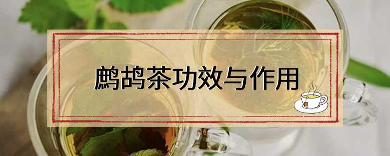 鹧鸪茶功效与作用