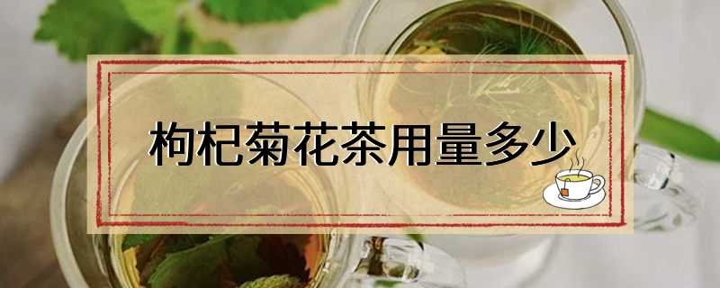 枸杞菊花茶用量多少