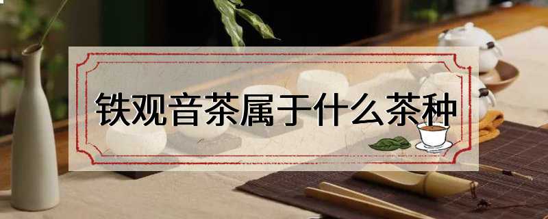 铁观音茶属于什么茶种