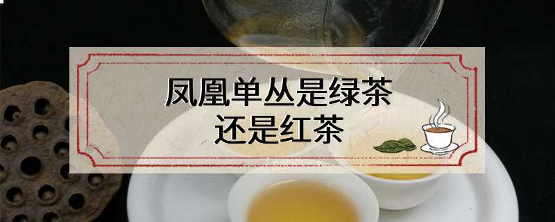 凤凰单丛是绿茶还是红茶