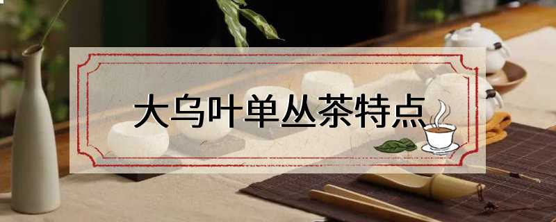 大乌叶单丛茶特点