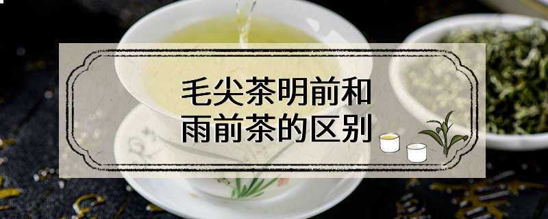 毛尖茶明前和雨前茶的区别