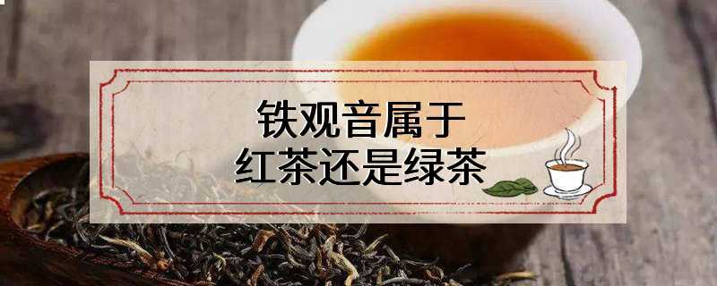 铁观音属于红茶还是绿茶