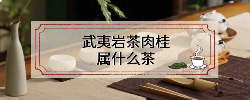 武夷岩茶肉桂属什么茶