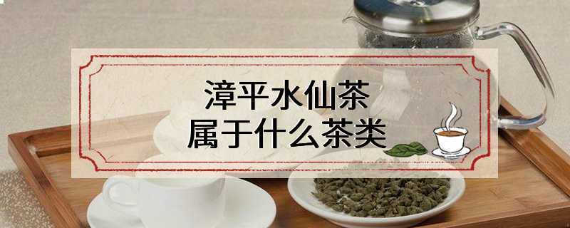 漳平水仙茶属于什么茶类