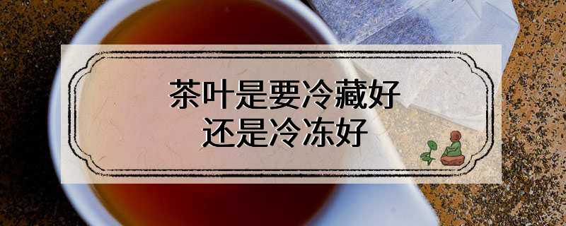 茶叶是要冷藏好还是冷冻好