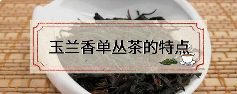 玉兰香单丛茶的特点