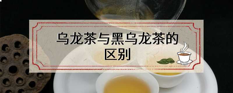 乌龙茶与黑乌龙茶的区别