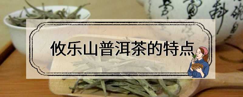 攸乐山普洱茶的特点