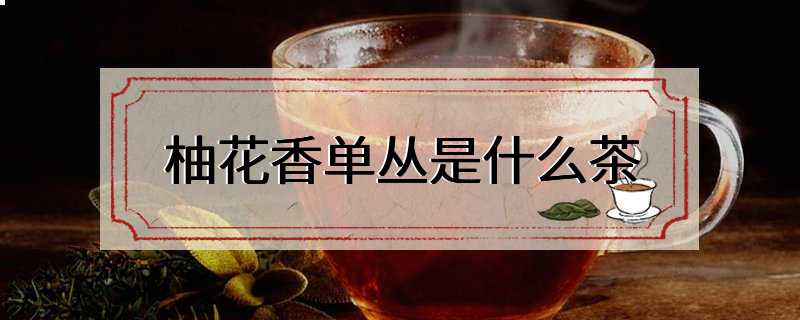 柚花香单丛是什么茶