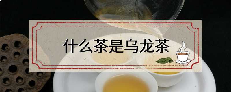 什么茶是乌龙茶