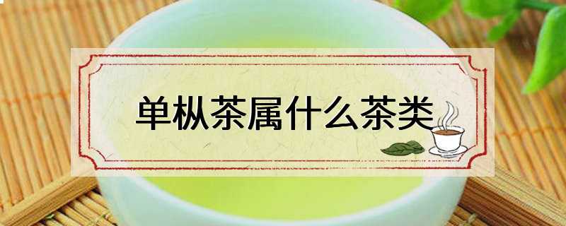 单枞茶属什么茶类