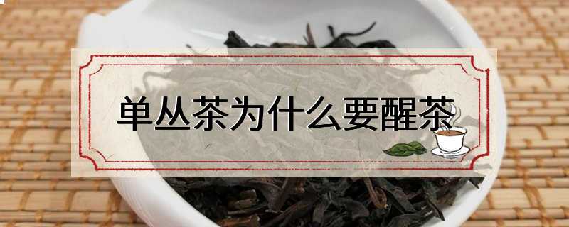 单丛茶为什么要醒茶