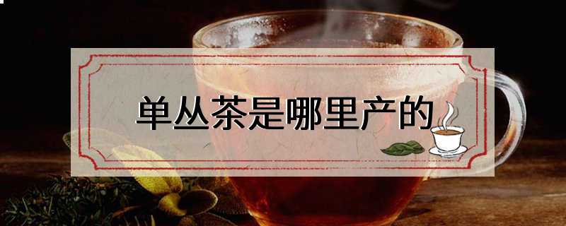 单丛茶是哪里产的