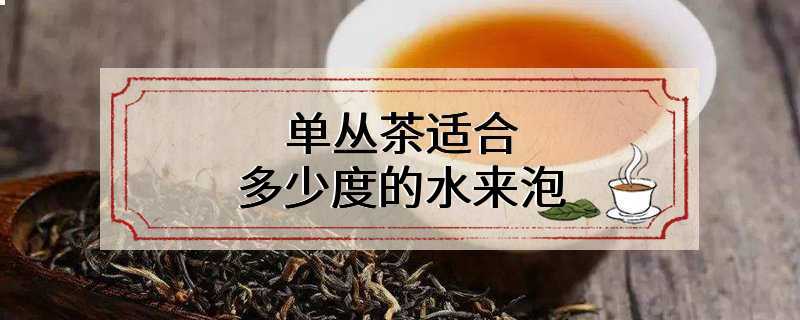 单丛茶适合多少度的水来泡