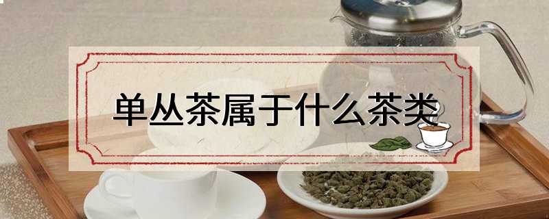 单丛茶属于什么茶类