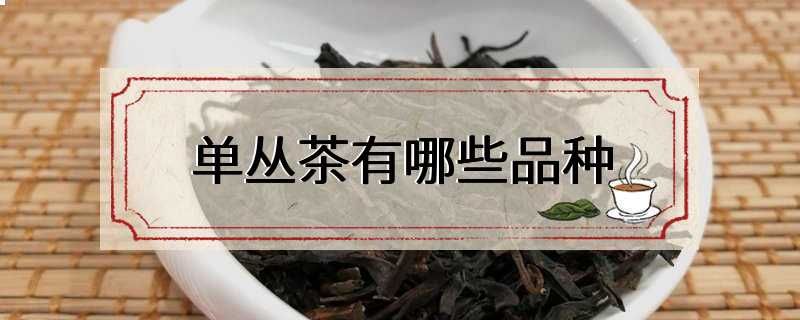 单丛茶有哪些品种