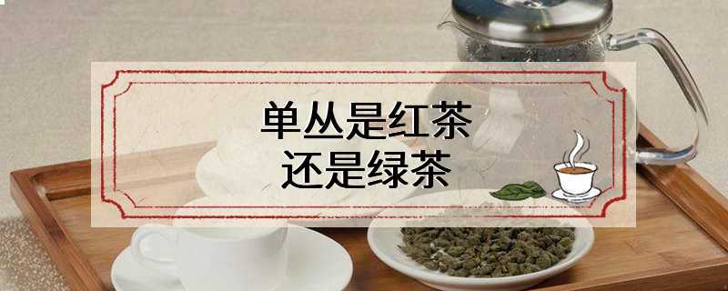 单丛是红茶还是绿茶