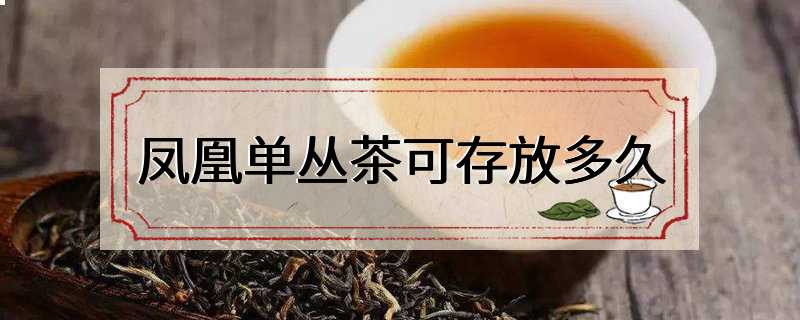 凤凰单丛茶可存放多久