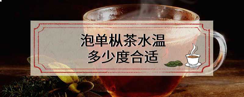 泡单枞茶水温多少度合适