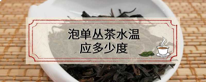 泡单丛茶水温应多少度