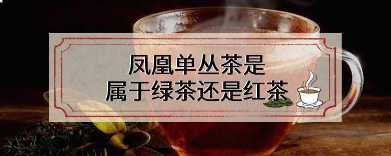 凤凰单丛茶是属于绿茶还是红茶