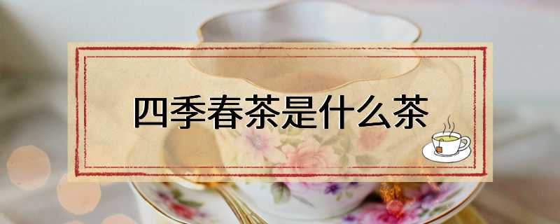 四季春茶是什么茶