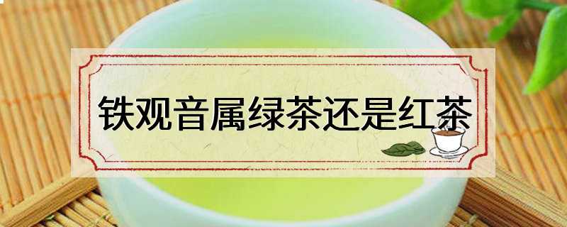 铁观音属绿茶还是红茶