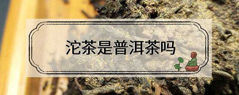 沱茶是普洱茶吗