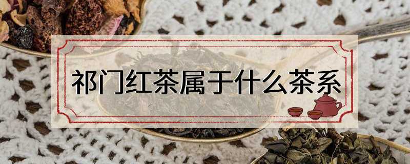 祁门红茶属于什么茶系